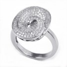 R02465CZSW