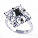 R02507CZSW